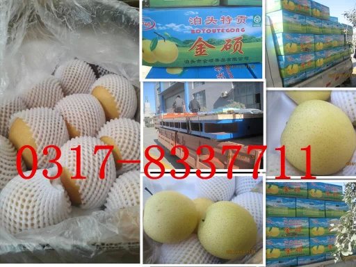 ɽ�|�����͑�ӆ�����T�Fƽ�_��100�䲴�^�����b܇�l(f��)؛